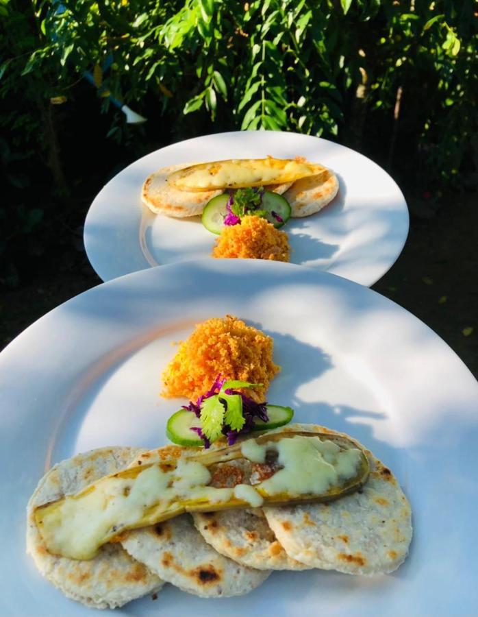 Haus 35 Bed & Breakfast Weligama Dış mekan fotoğraf